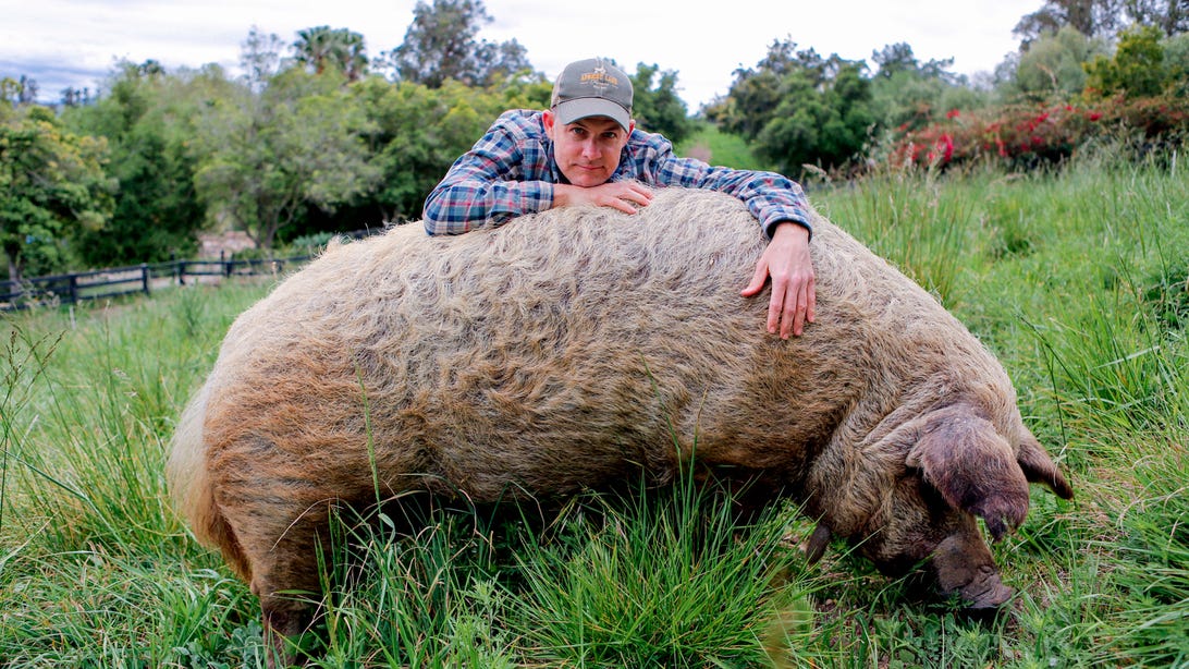 John Chester and Emma, The Biggest Little Farm: The Return