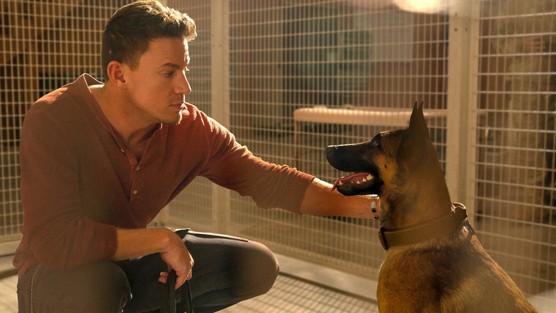 Channing Tatum, Dog